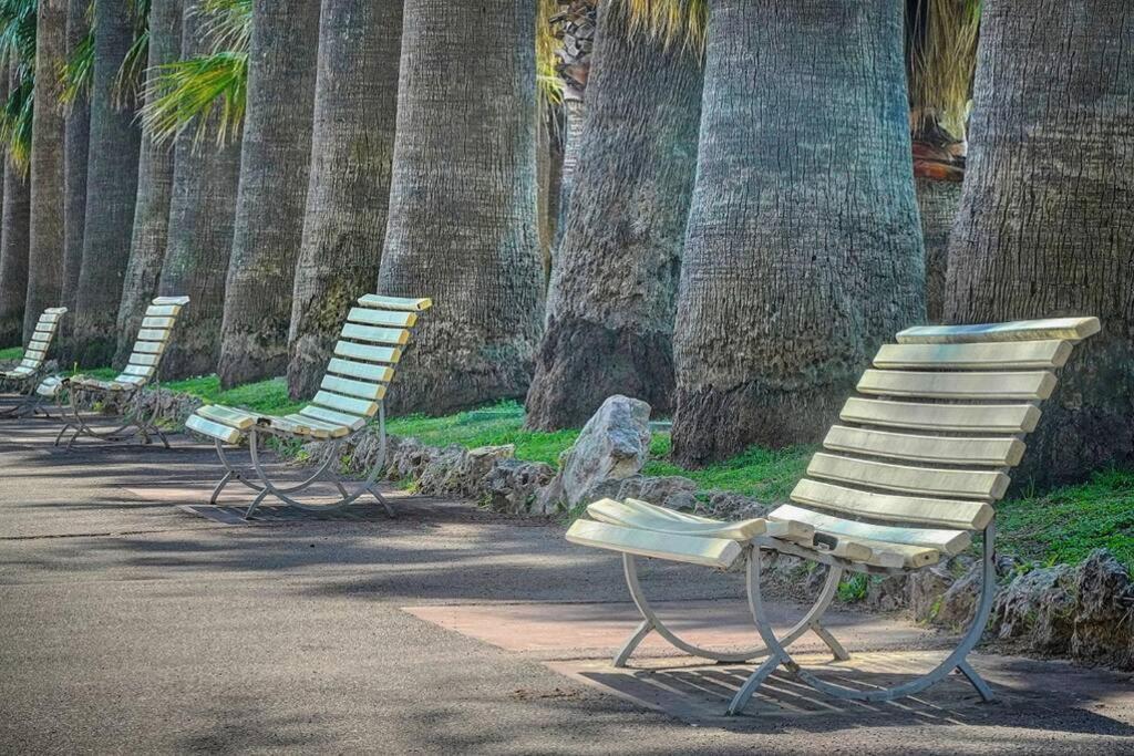 Apartament Le Palm - 100M Plage - Croisette - Verriere Cote D'Azur Cannes Zewnętrze zdjęcie